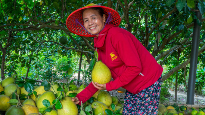 Hành trình chạm di sản – Chạm yên bình giữa Khu đền tháp Mỹ Sơn và làng trái cây Đại Bình